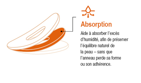 web_Absorption_Text_French